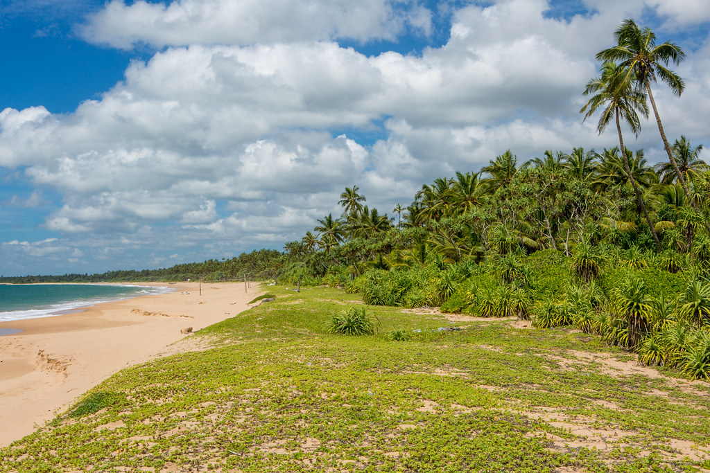 Kahandamodara Beach: Embracing Solitude and Natural Beauty