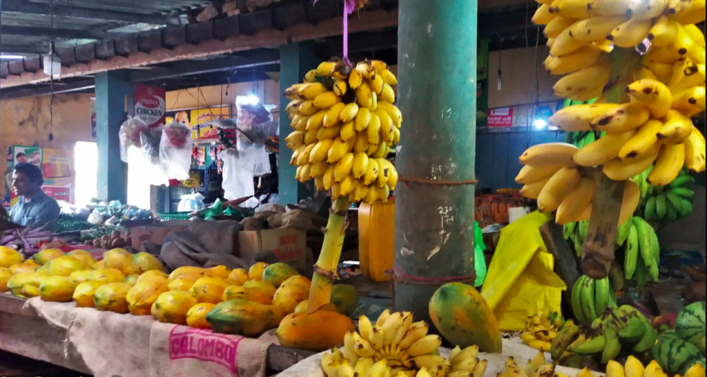 Tangalle Market: A Fruity and Flavorful Adventure