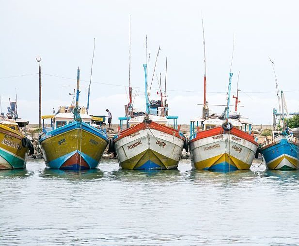 Tangalle Fishing Harbour: An Authentic Sri Lankan Experience