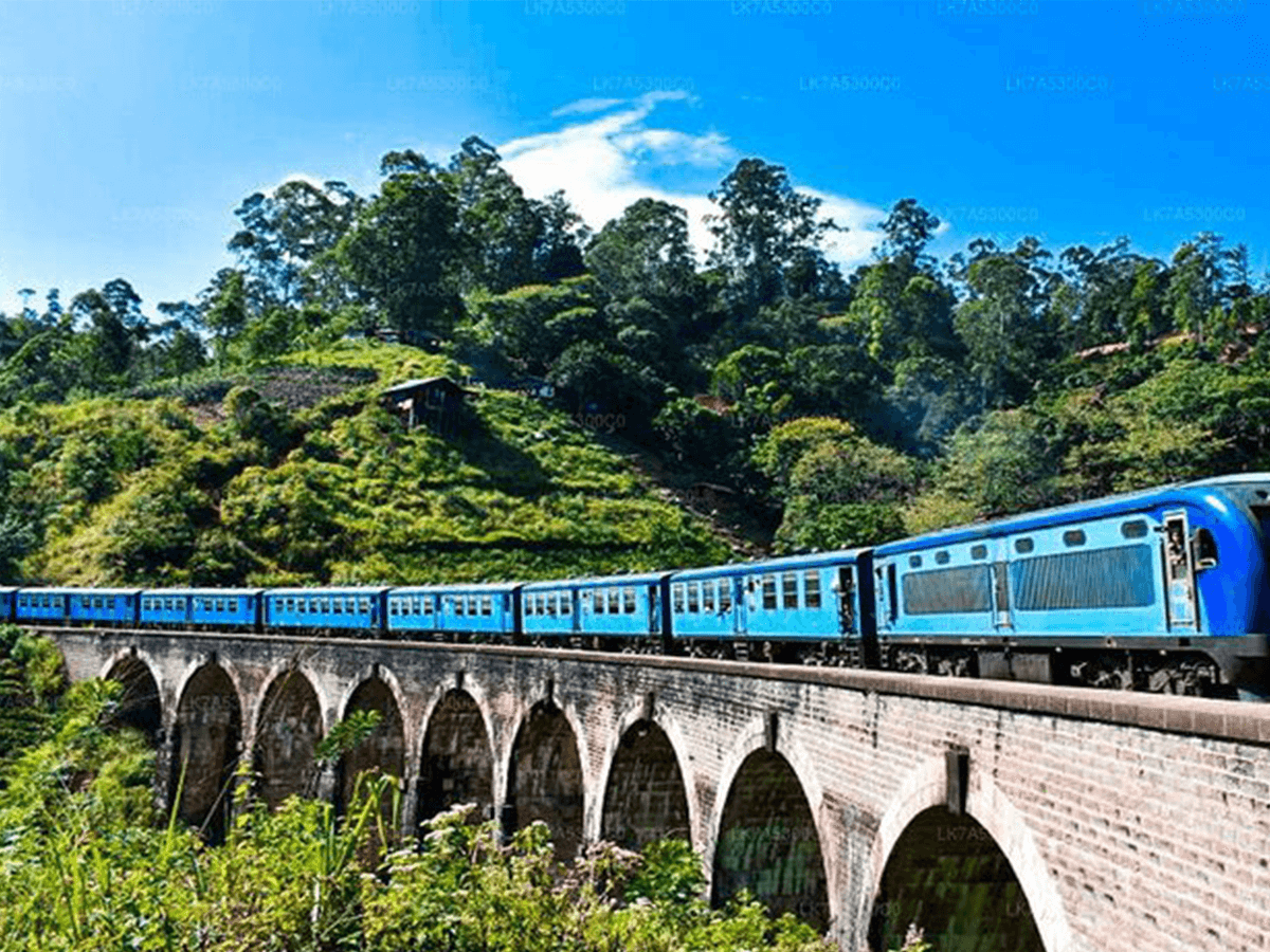 Ella's Nine Arch Bridge and Tea Factory
