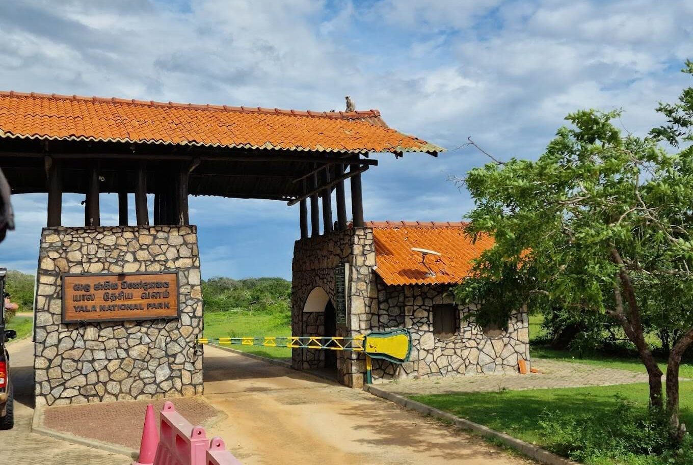 Yala National Park Safari Experience